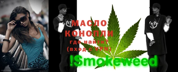 тгк Абаза