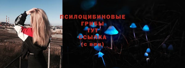 COCAINE Новозыбков