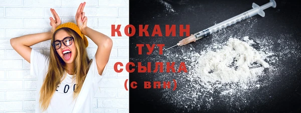 тгк Абаза