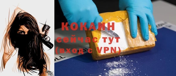тгк Абаза