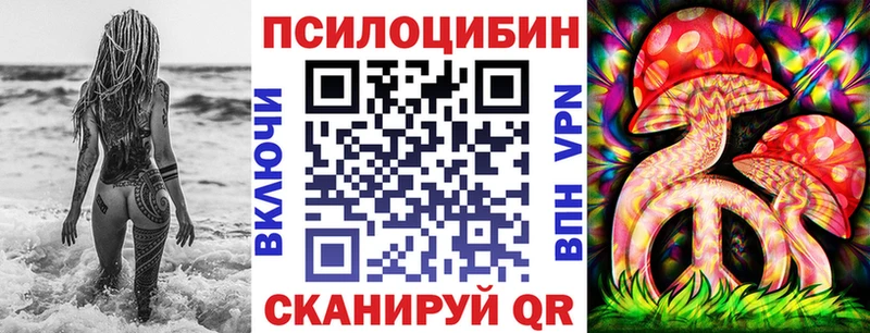 Псилоцибиновые грибы Psilocybe  Лиски 